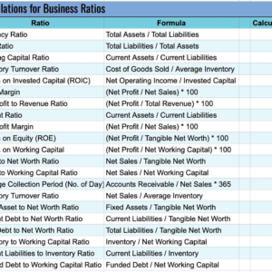 Business Valuation Excel Template: Financial Planner for Investors (Digital Download)